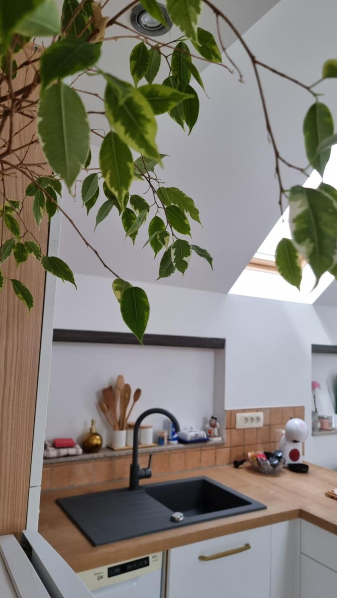Apartma Katarina Bled Kültér fotó